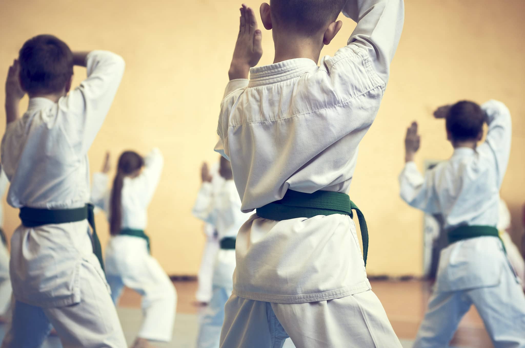 Mission Taekwondo Academy Programs