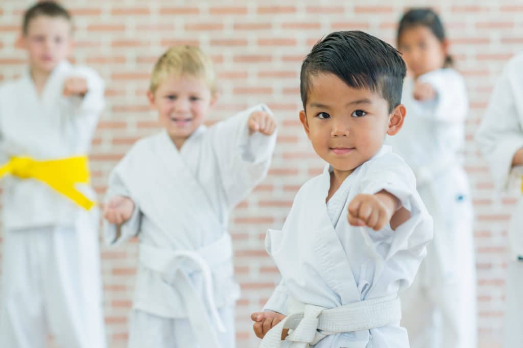 Mission Taekwondo Academy Programs image