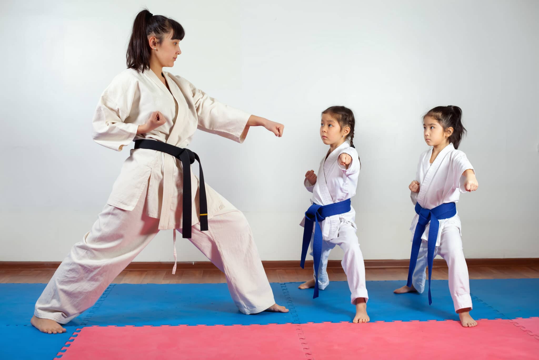 Mission Taekwondo Academy Tiny Tigers Program