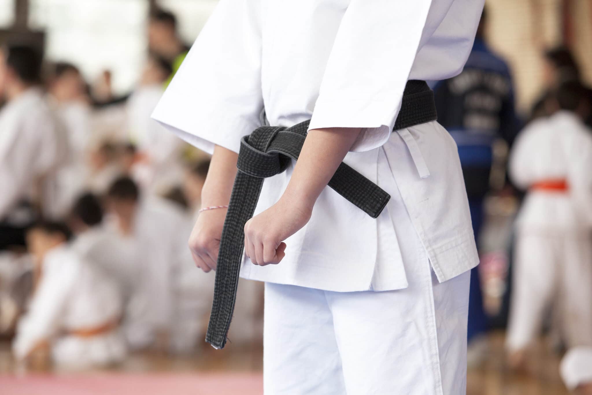 Mission Taekwondo Academy Karate For Kids