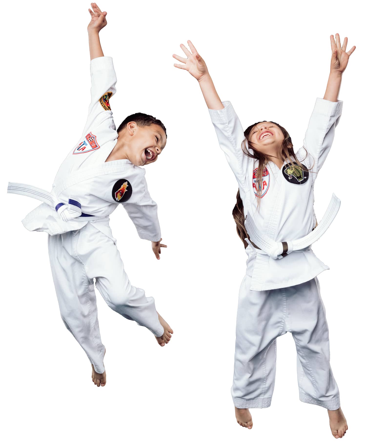 Mission Taekwondo Academy 